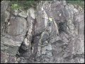吉田和正さんがトップロー�...