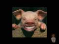 videos de Chirajito opina sobre Toby Saca