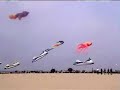 The Decorators - Revolution Kite team (UK)