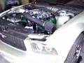 2005 Mustang with 5.4L 3v Engine - First Run
