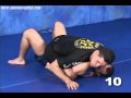 Saulo Ribeiro - FreeStyle Revolution Jiu-Jitsu -  Submissions [vol 5]