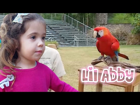 LiL Abby At the Zoo – LiLAbby – LiL Abby