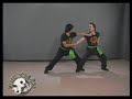 Seven Eagle Claw Kung Fu Fighting Principles