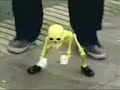 seram.....skeleton
