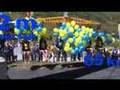 Skyswing (FISS)