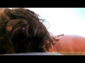 Kahuna Bodywork (Hawaiian Massage/Lomi Lomi) Mettes Institute
