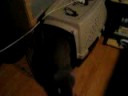 Slade just being Slade - 16 Weeks