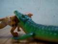 Crocodile Attacks Tiger