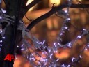 Cotillard-Lights-Up-