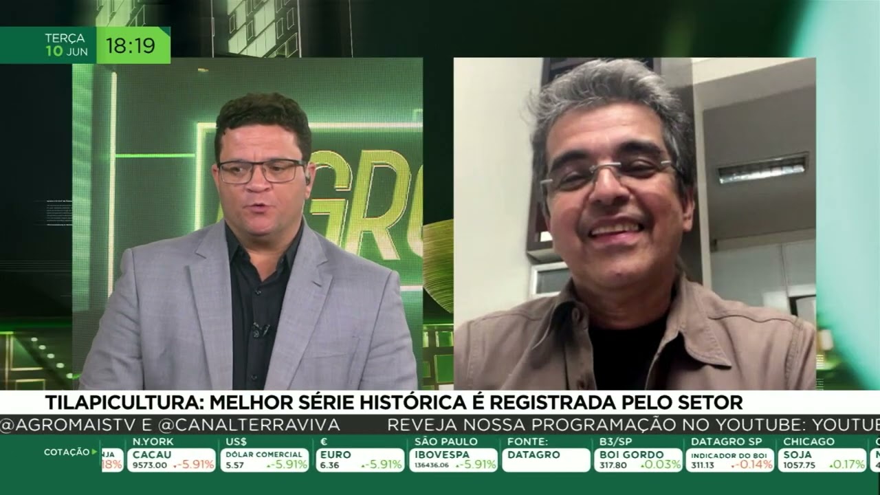 Tilapicultura: melhor série histórica é registrada pelo setor