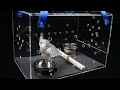 Avian First Aid. Ep04. Transporting your sick/injured bird