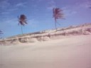 N�is em Fortaleza part. 4
