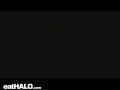 videos de 241