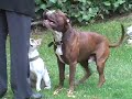 See video