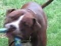 See video