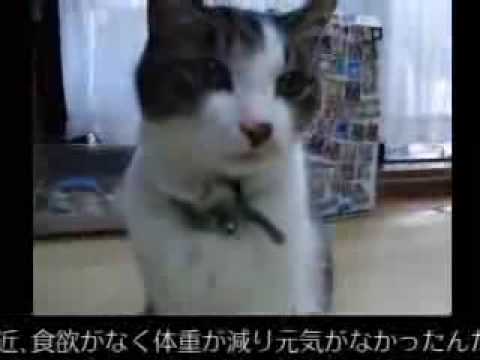 イフペンダント効果・口コミ・評判１