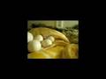 Python Egg