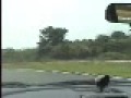 HSR??