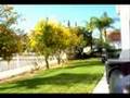 Propane-Lawn-Mower-P