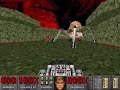 Doom 1- Boss Level 3- E3M8- Dis