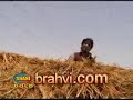 brahvi  makoran   quetta   Bolan