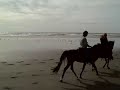 Horseback Riding in Long Beach, WA