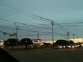 The birds are back in town