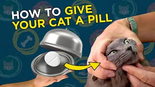How to give your cat a pill
