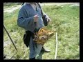la ghironda la ghironda