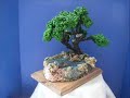 Sculptures by Summer Sculptures by Summer