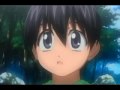 Amv Elfen Lied - Tallulah