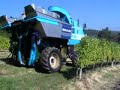 ETA SOTRAVI  Vendanges