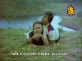 Geetha - ilayaraja