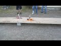 belt sander jousting