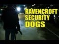 The Amazing Spider-Man 2| SECURITY DOGS ...