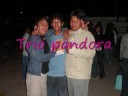 Los PTM