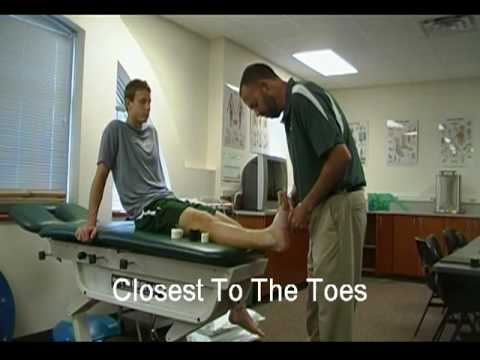 how to properly wrap an ankle