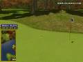 videos de Golden Tee Great Shot on Sunny Wood!