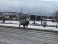 Lorri Ess først i mål på Leangen Lorri Ess først i mål på Leangen