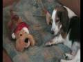 le repos de kenny.wmv