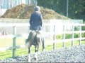 Nebo Stripe at show