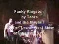 funky reggae