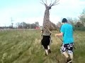 see wicker stag...want wicker stag...take wicker stag...