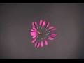 videos de Math homework