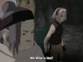 Amv:Sakura,Grandma Chiyu vs Sasori