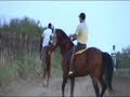 Carrera de Caballos  Allende Nuevo Leon El Zaico Vs La güera