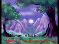 Haddaway - What is Love? [Night at the Roxbury Remix]