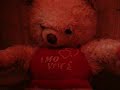Poltergeist Teddy Bear real/Haunting Ghosts spirits fear
