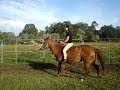 Horsebook Movie: Mara a weird way to get her canter Horsebook Movie: Mara a weird way to get her canter