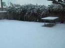 Blanket of Snow 1/23/07